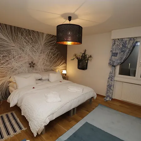 Beau Cedre Centre Appartement *
