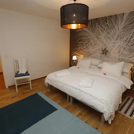 Apartment Beau Cedre Centre *